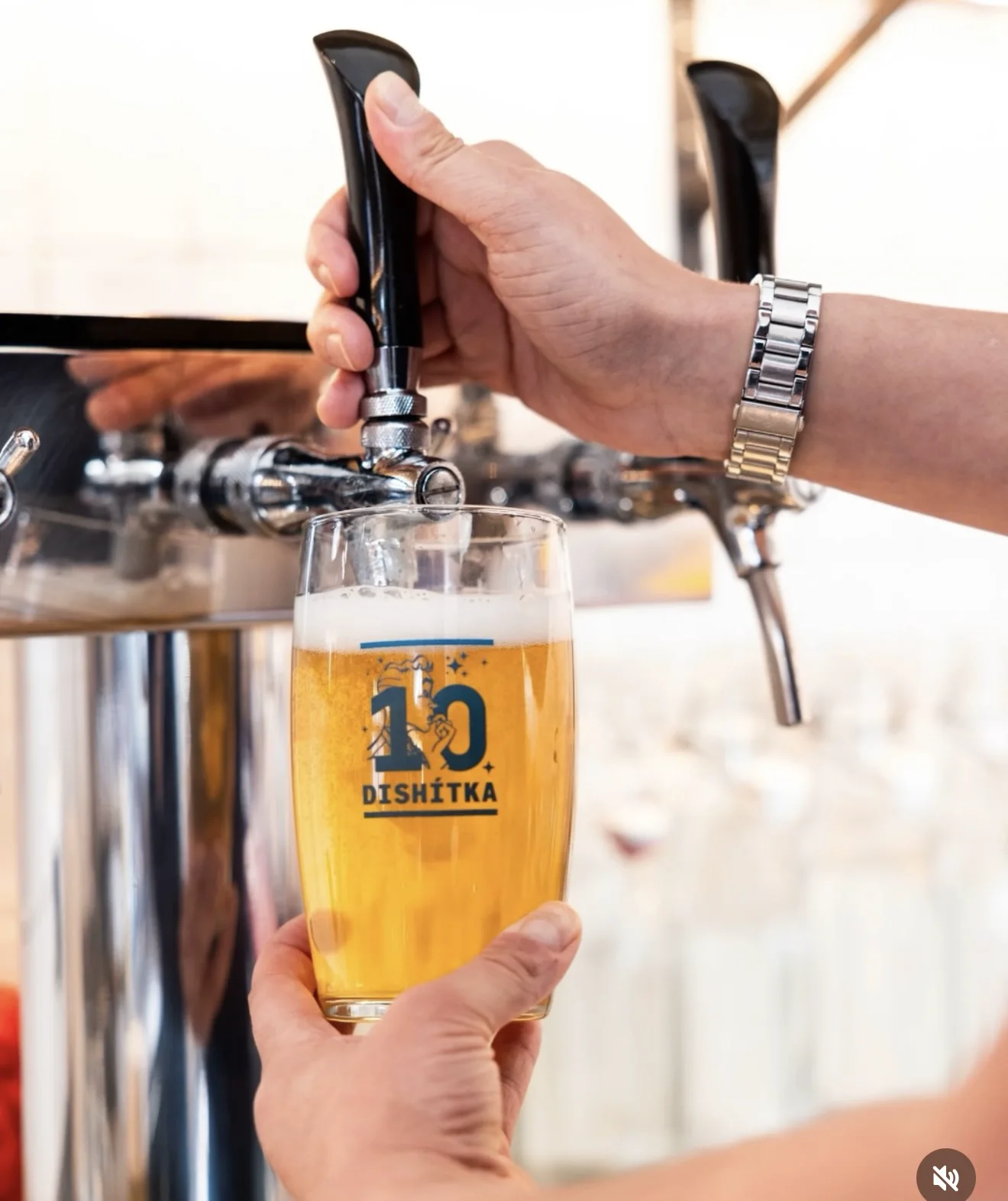 Pivo