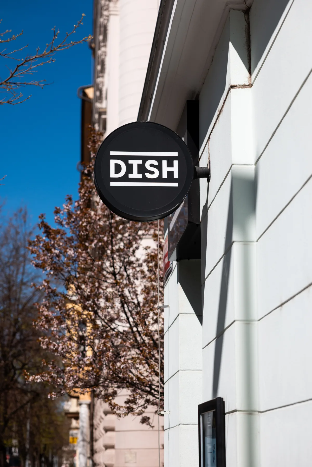 Dish Belgická — vstup